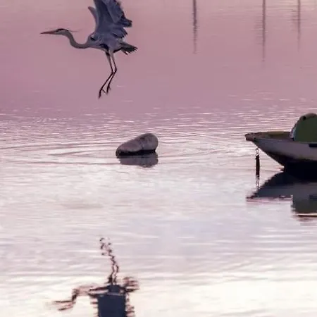 La Chalanita Studio - El Charco De San Gines *