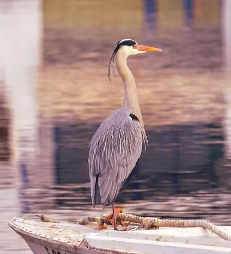 La Chalanita Studio - El Charco De San Gines Apartment *