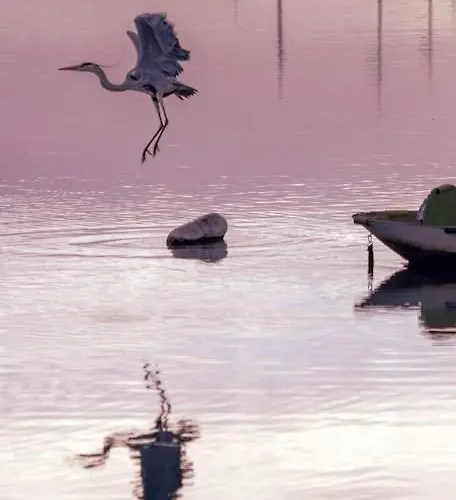 La Chalanita Studio - El Charco De San Gines *